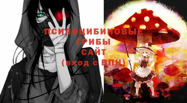 гашик Медвежьегорск