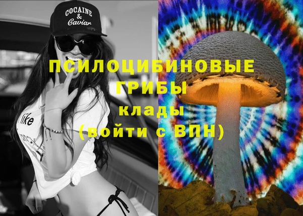 круглые Бронницы