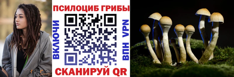 Псилоцибиновые грибы Psilocybe  где купить   Заволжск 
